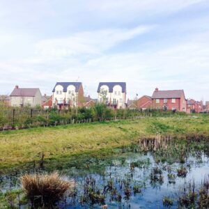 Wetlands housing estate