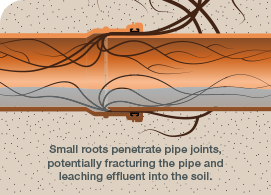 Rootseal Technology
